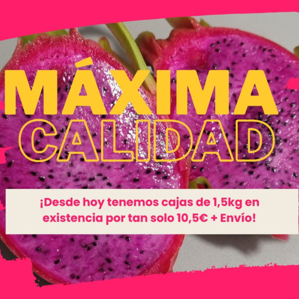 Caja con 1,5 kg de Pitaya Roja