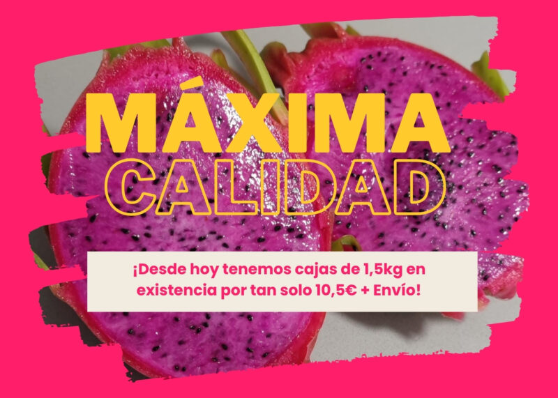 Caja con 1,5 kg de Pitaya Roja